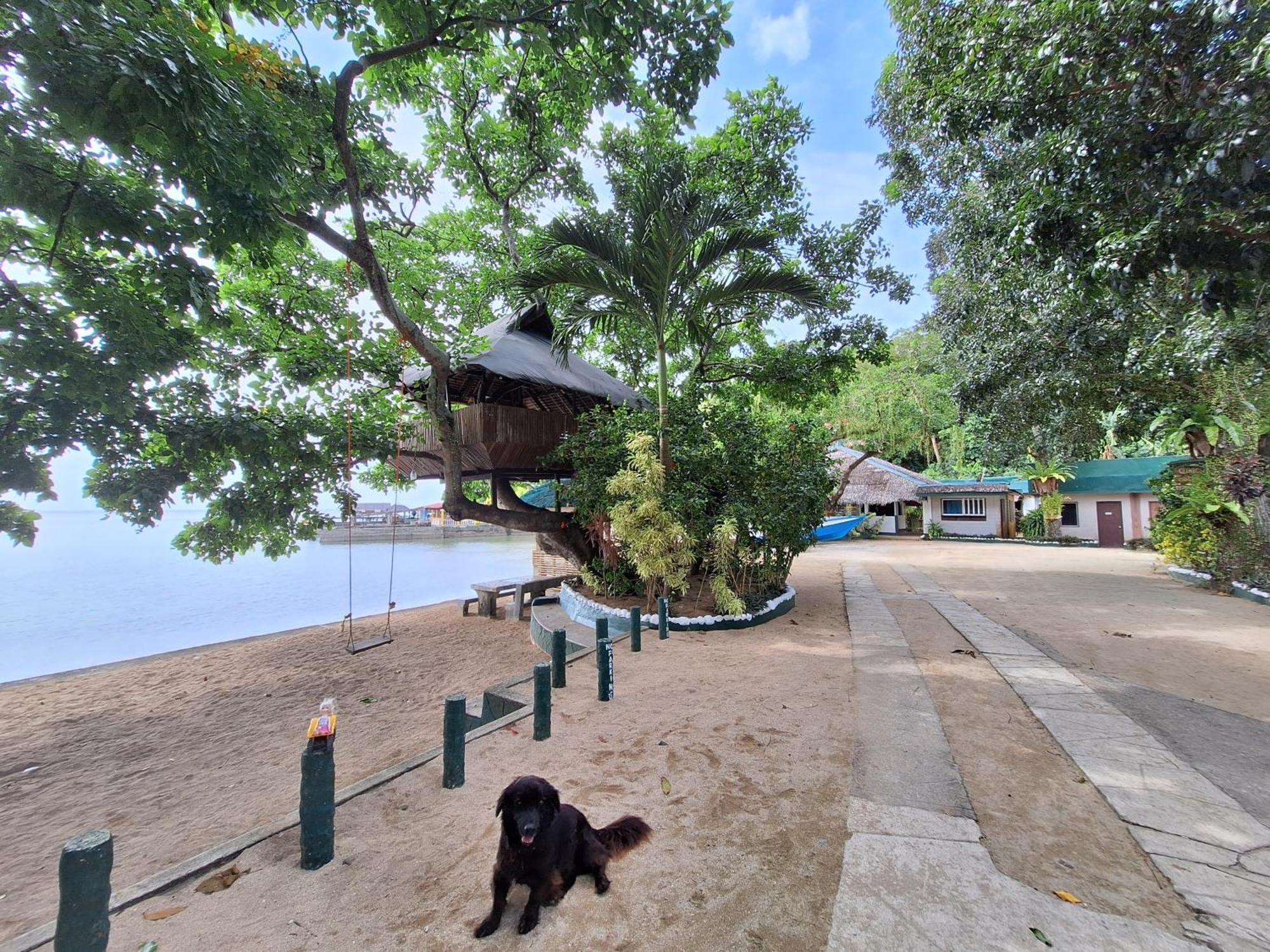 Agta Beach Resort Biliran Esterno foto